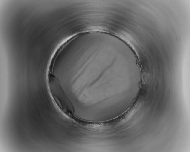 X0000096660995200802261338