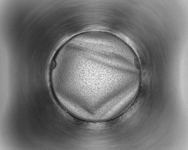 X0000096660997200802261338