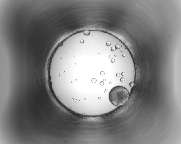 X0000096660998200802261338