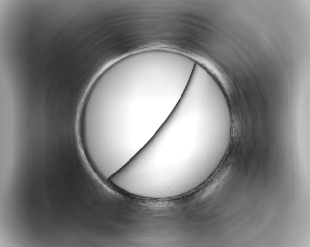 X0000096660999200802261338