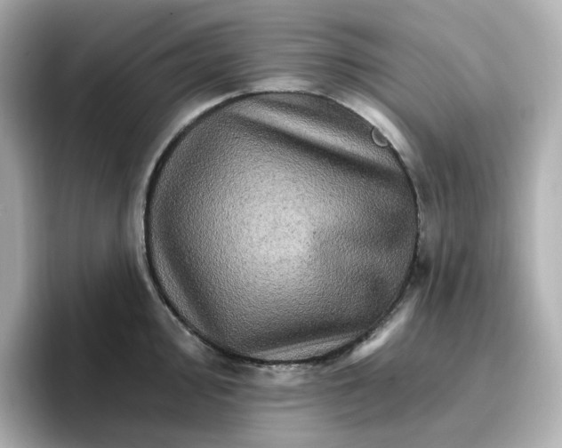 X0000096661000200802261338