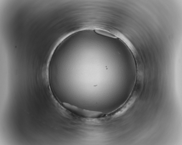 X0000096661004200802261338