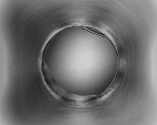 X0000096661005200802261338