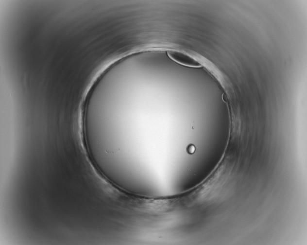 X0000096661006200802261338