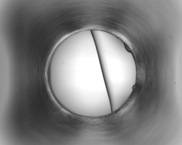 X0000096661007200802261338