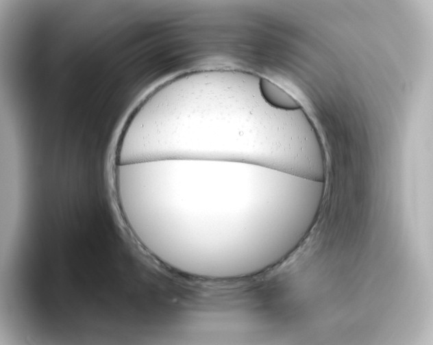 X0000096661008200802261338