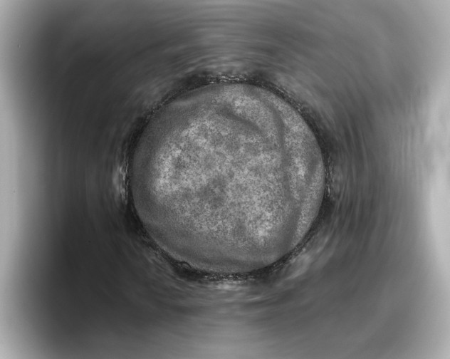 X0000096661010200802261338