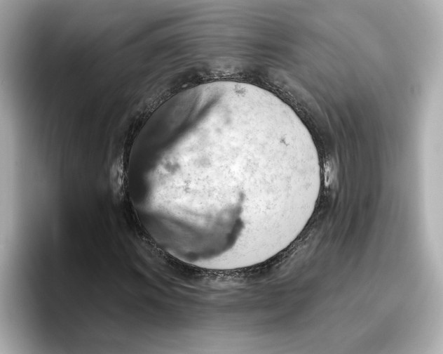 X0000096661011200802261338