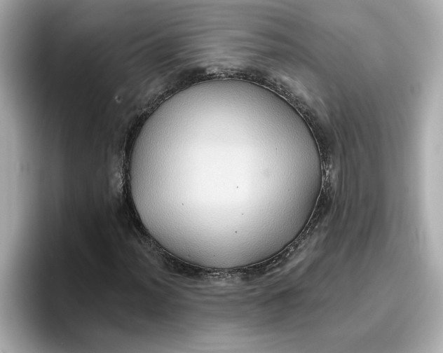 X0000096661012200802261338