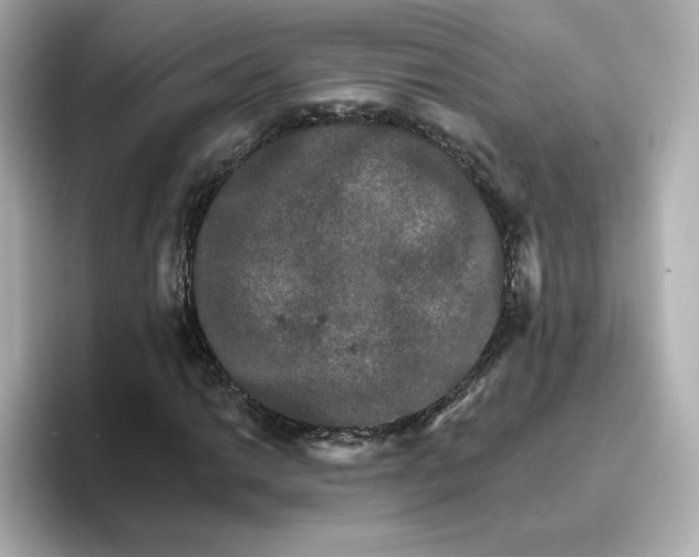 X0000096661014200802261338