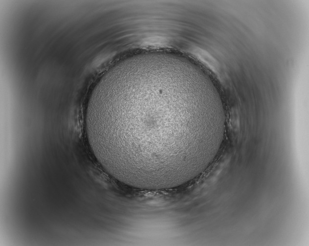 X0000096661015200802261338