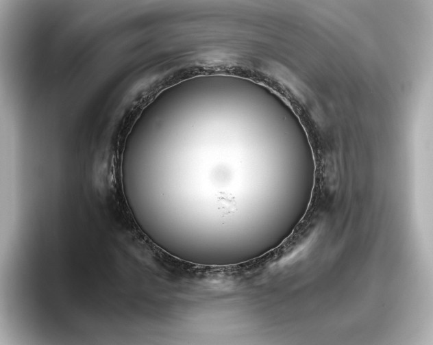 X0000096661016200802261338