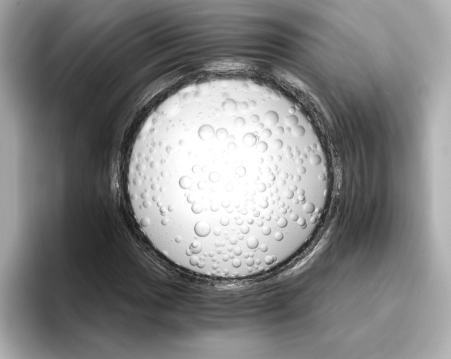 X0000096661017200802261338