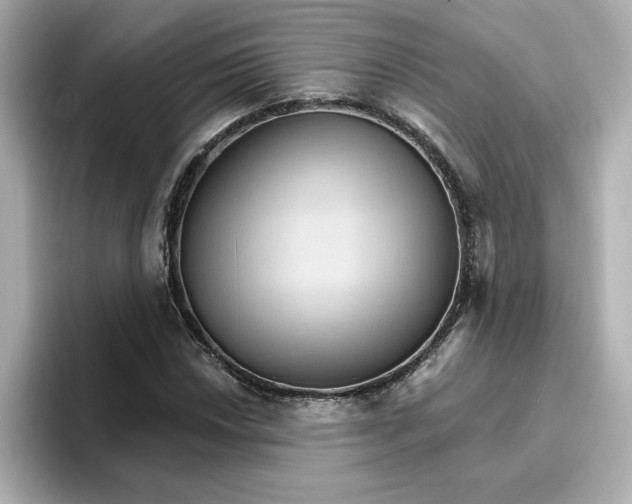 X0000096661018200802261338