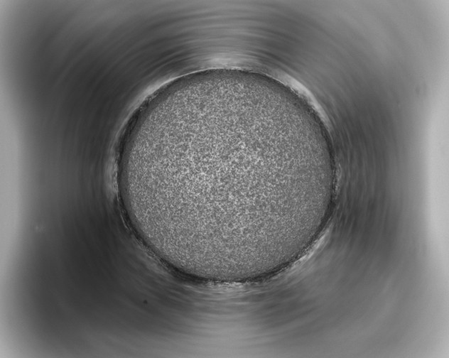 X0000096661019200802261338