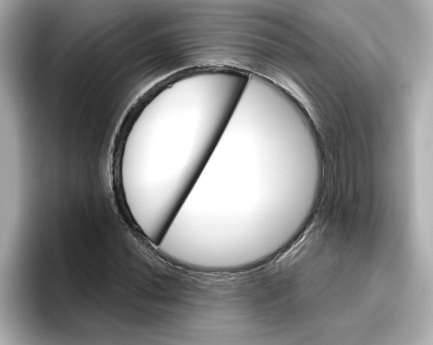 X0000096661020200802261338