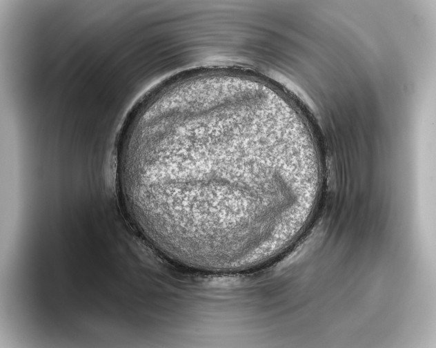 X0000096661021200802261338