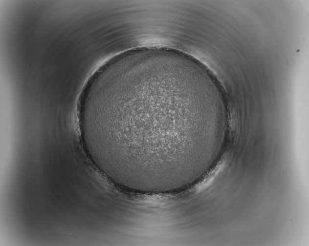 X0000096661022200802261338