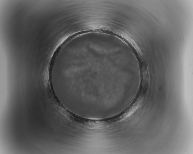 X0000096661023200802261338