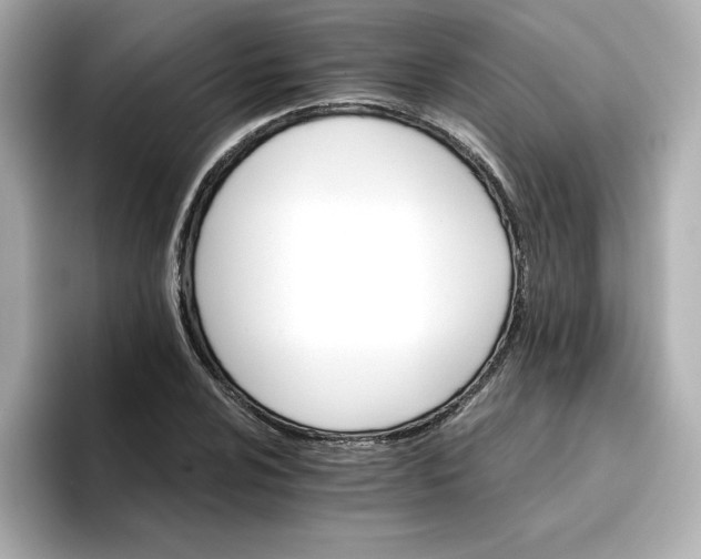 X0000096661024200802261338