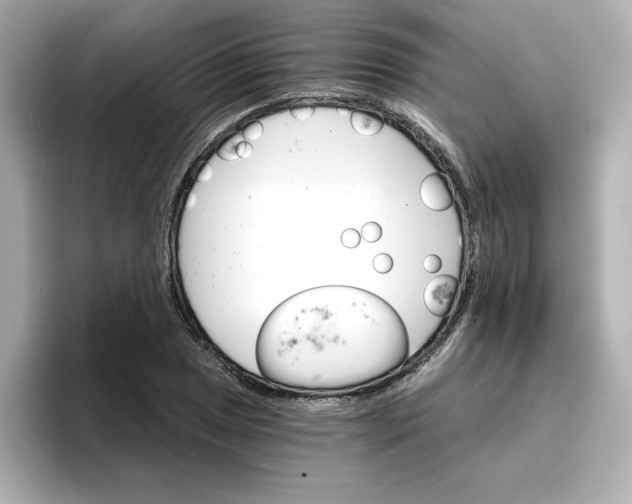 X0000096661025200802261338