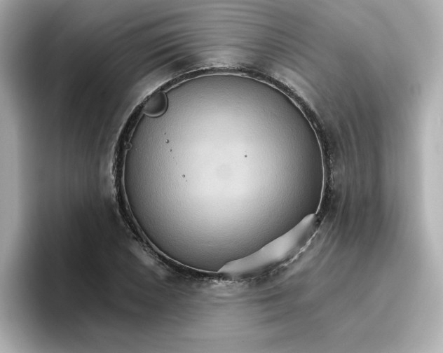 X0000096661026200802261338