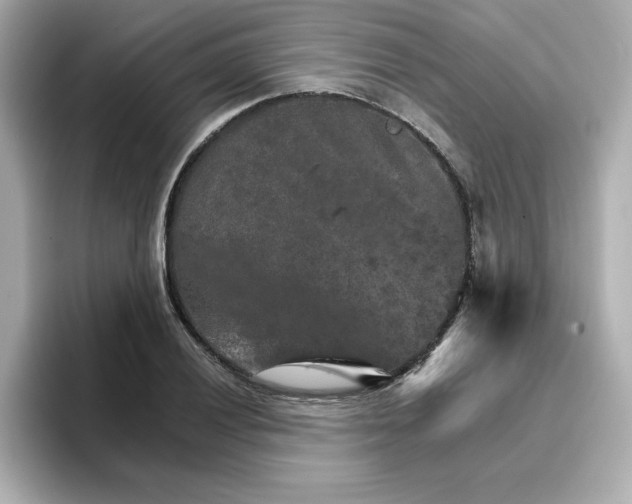 X0000096661028200802261338