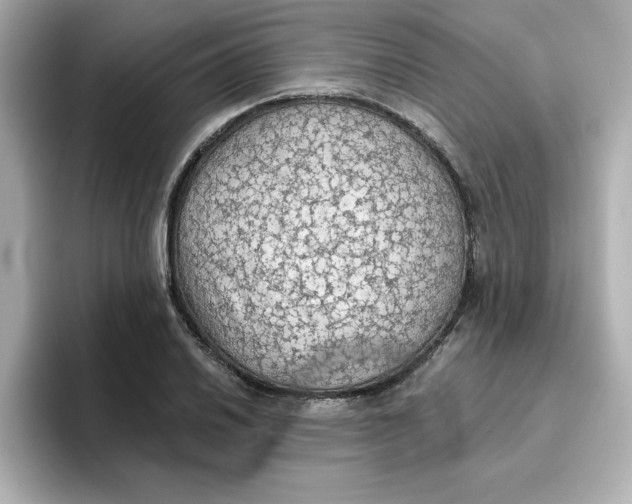 X0000096661030200802261338