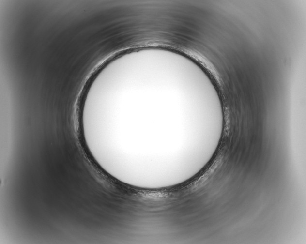 X0000096661031200802261338