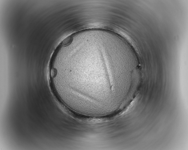 X0000096661034200802261338