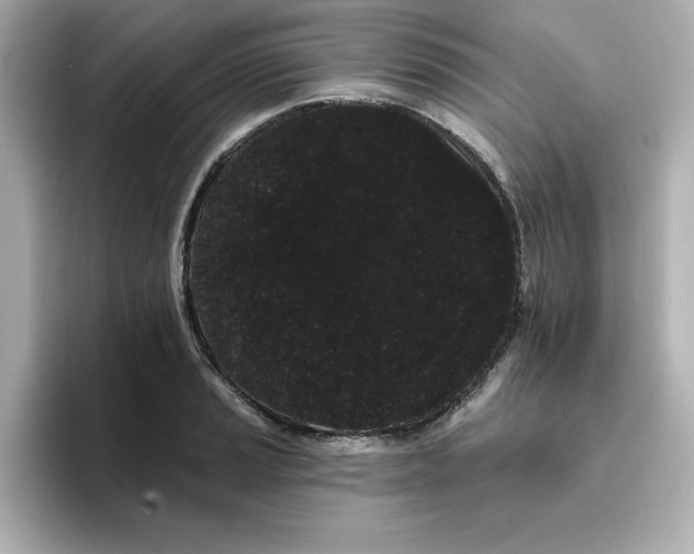 X0000096661037200802261338