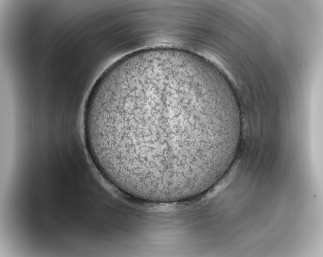 X0000096661038200802261338