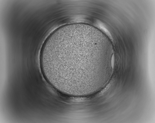 X0000096661039200802261338