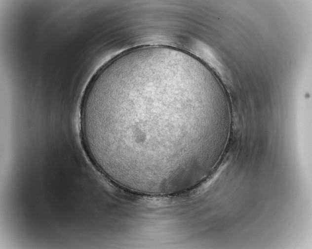 X0000096661040200802261338