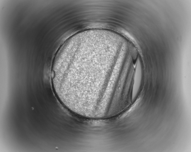 X0000096661041200802261338