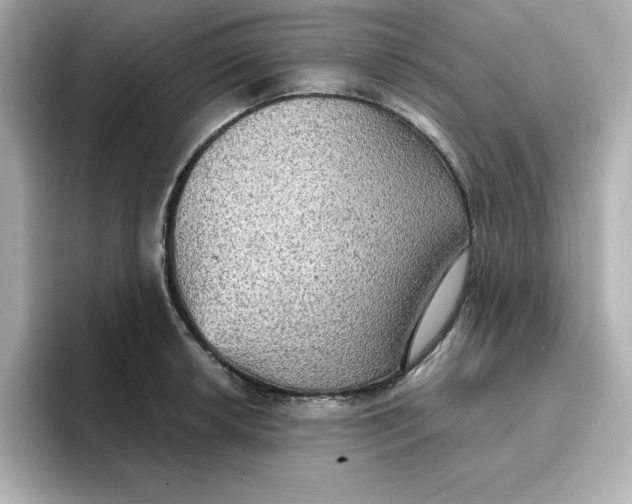 X0000096661042200802261338