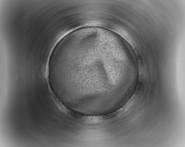 X0000096661044200802261338