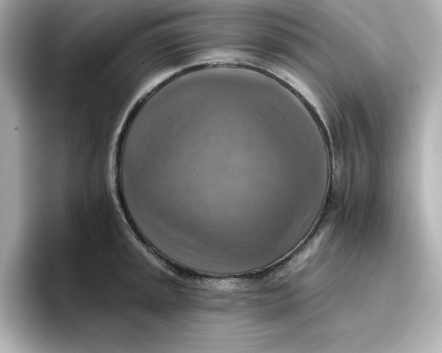 X0000096661045200802261338