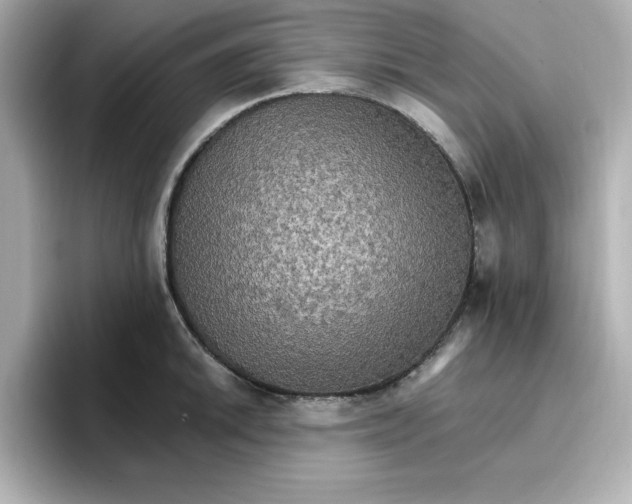 X0000096661046200802261338