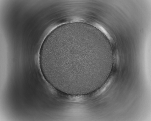 X0000096661047200802261338