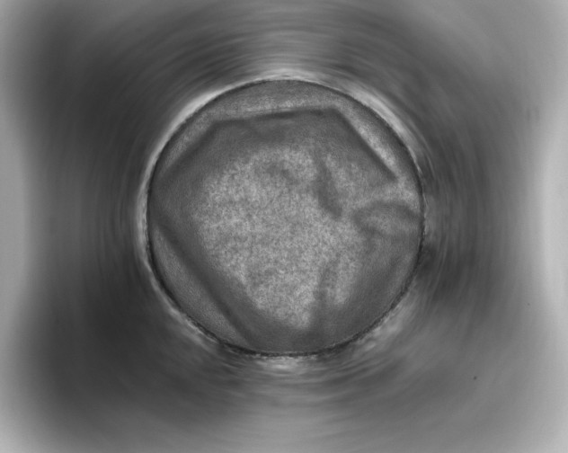 X0000096661048200802261338