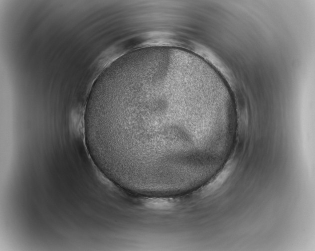 X0000096661049200802261338