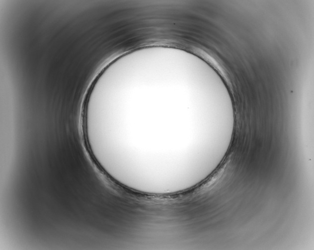 X0000096661050200802261338