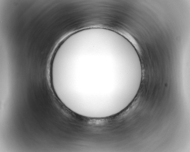 X0000096661051200802261338