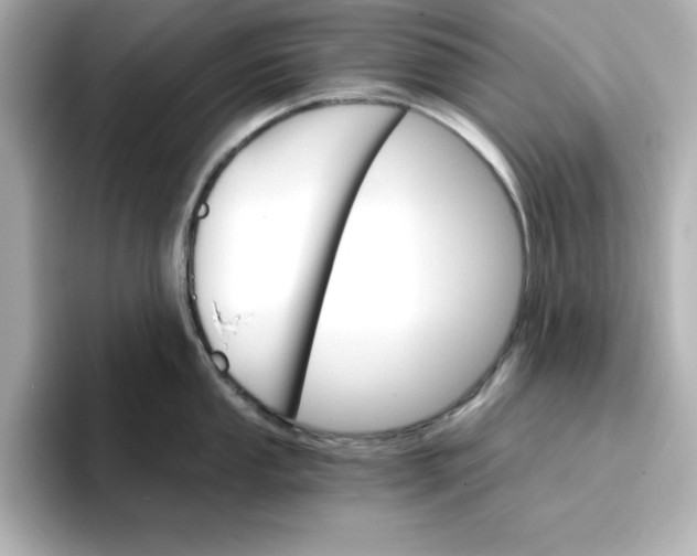 X0000096661053200802261338