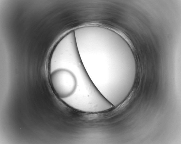 X0000096661054200802261338