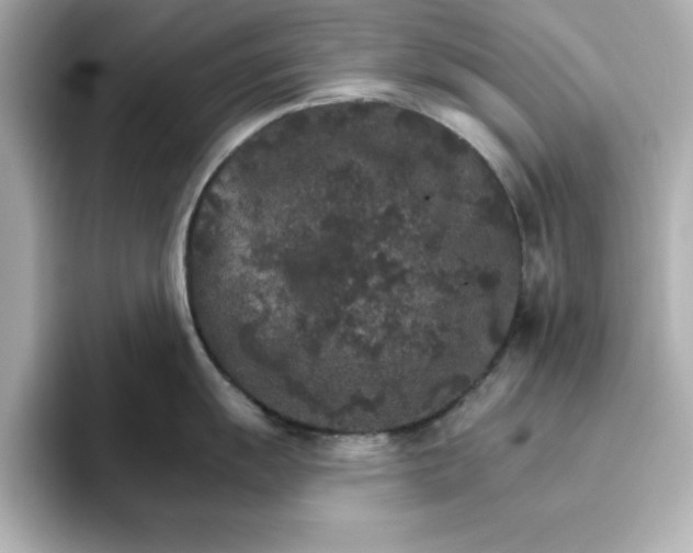 X0000096661055200802261338