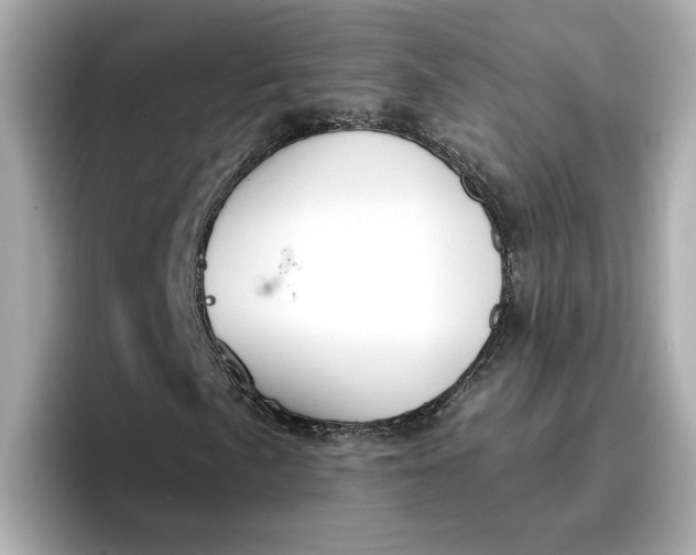 X0000096661057200802261338