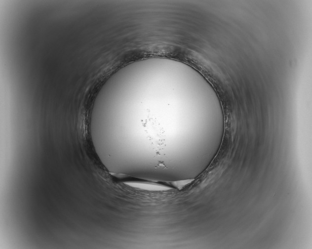 X0000096661058200802261338