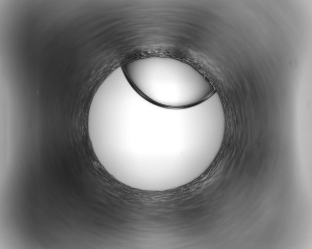 X0000096661060200802261338